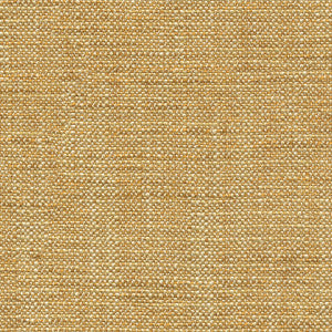 Lamson Gourd by Kravet Basics Fabric