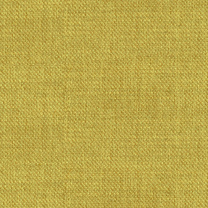 Edtim Chartreuse by Kravet Basics Fabric
