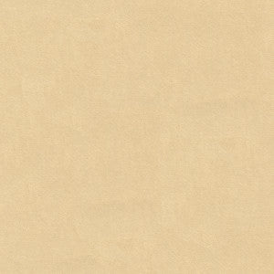 Muller Stone by Kravet Design Fabric