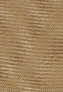 Bramleigh Camel 3283021 by Schumacher Fabric