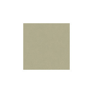 Carmine Silver by Kravet Contract Fabric