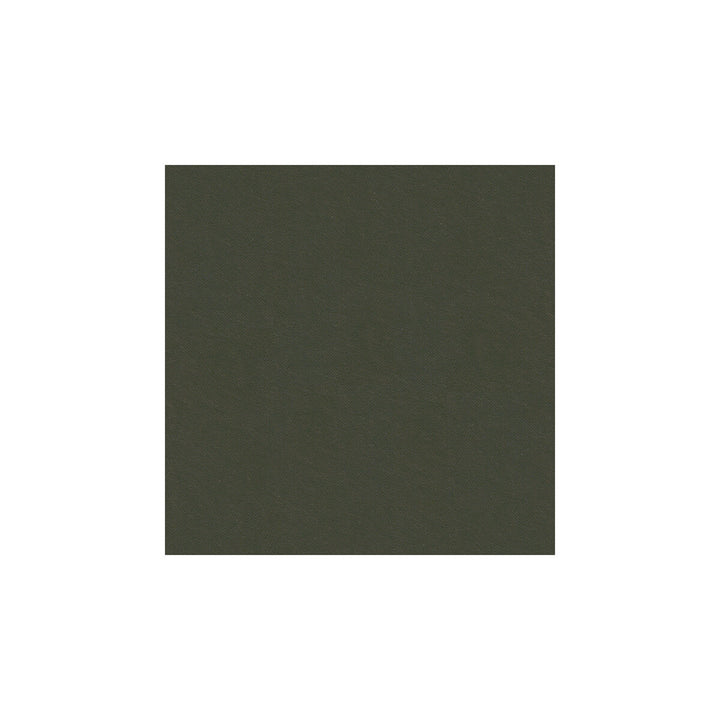 Delta Iron by Kravet Contract Fabric Kravet Contract Fabric Delta IronFabric POLYESTER - 83%;COTTON - 17% Korea, Republic of </p><p>Repeat: H: , V: 55 - Fabric Carolina -