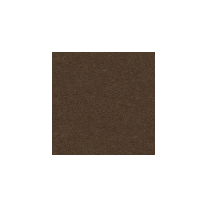 Delta Truffle by Kravet Contract Fabric GIS POLYESTER - 83%;COTTON - 17% Korea, Republic of HEAVY Horizontal: - and Vertical: - 55 - Fabric Carolina -