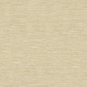 Kravet Smart 32877-106 by Kravet Smart Fabric