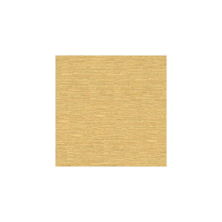 Kravet Smart 32877-116 by Kravet Smart Fabric Kravet Smart Fabric Kravet Smart 32877-116Fabric VISCOSE - 70%;POLYESTER - 30% Turkey </p><p>Repeat: H: , V: 55 - Fabric Carolina -