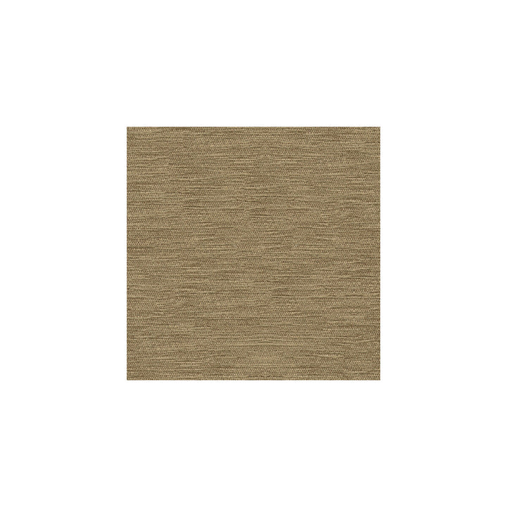32877-2121 by Kravet Smart Fabric VISCOSE - 70%;POLYESTER - 30% Turkey HEAVY Horizontal: and Vertical: 55 - Fabric Carolina -