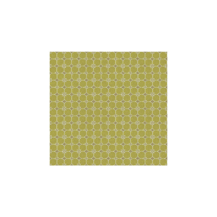 Fiorina Pear by Kravet Contract Fabric Kravet Contract Fabric Fiorina PearFabric CONTRACT GIS POLYESTER - 66%;RECYCLED POLYESTER - 34% United States </p><p>Repeat: H: 1, V: 1 54 - Fabric Carolina -