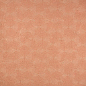 Reunion Coral by Kravet Contract Fabric