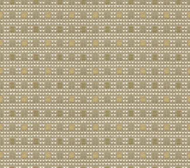 Check Out Lemongrass by Kravet Contract Fabric