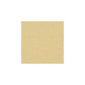 Wink Pearl by Kravet Contract Fabric