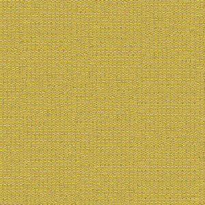 Wink Lemongrass by Kravet Contract Fabric
