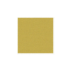 Wink Lemongrass by Kravet Contract Fabric