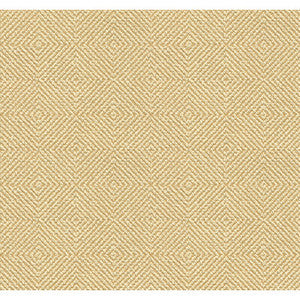 32924.1116.0 by Kravet Fabric