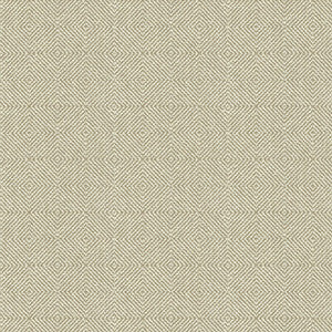 32924.116.0 by Kravet Fabric