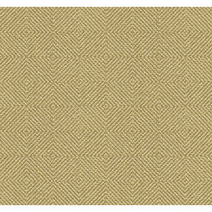 32924.1616.0 by Kravet Fabric