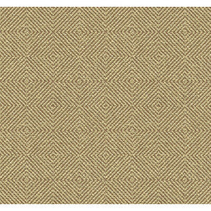 32924.66.0 by Kravet Fabric