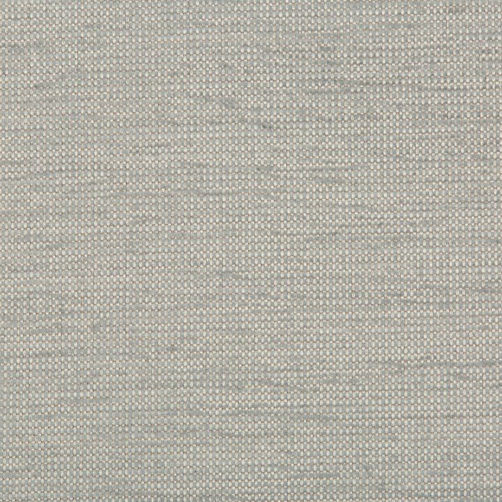 Cato Moonstone by Kravet Contract Designer Fabric GIS CRYPTON COTTON - 52%;POLYESTER - 48% United States HEAVY Horizontal: and Vertical: 54 - Swanky Fabrics -