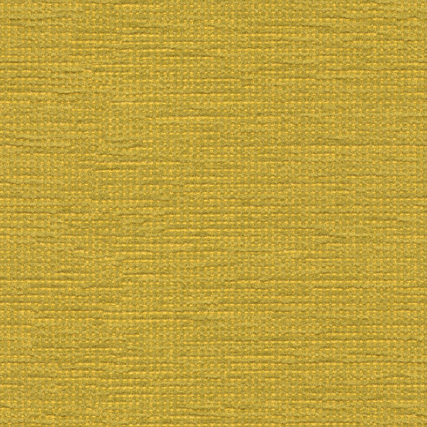 Cato Citrine by Kravet Contract Fabric
