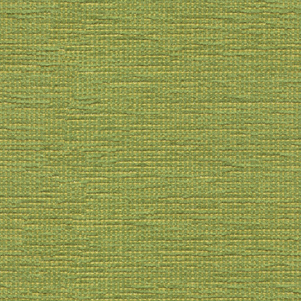 Cato Grass by Kravet Contract Fabric