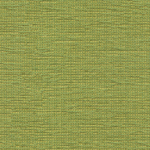 Cato Grass by Kravet Contract Fabric