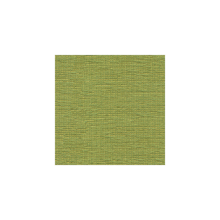 Cato Grass by Kravet Contract Fabric CONTRACT GIS COTTON - 52%;POLYESTER - 48% United States HEAVY Horizontal: - and Vertical: - 54 - Fabric Carolina -