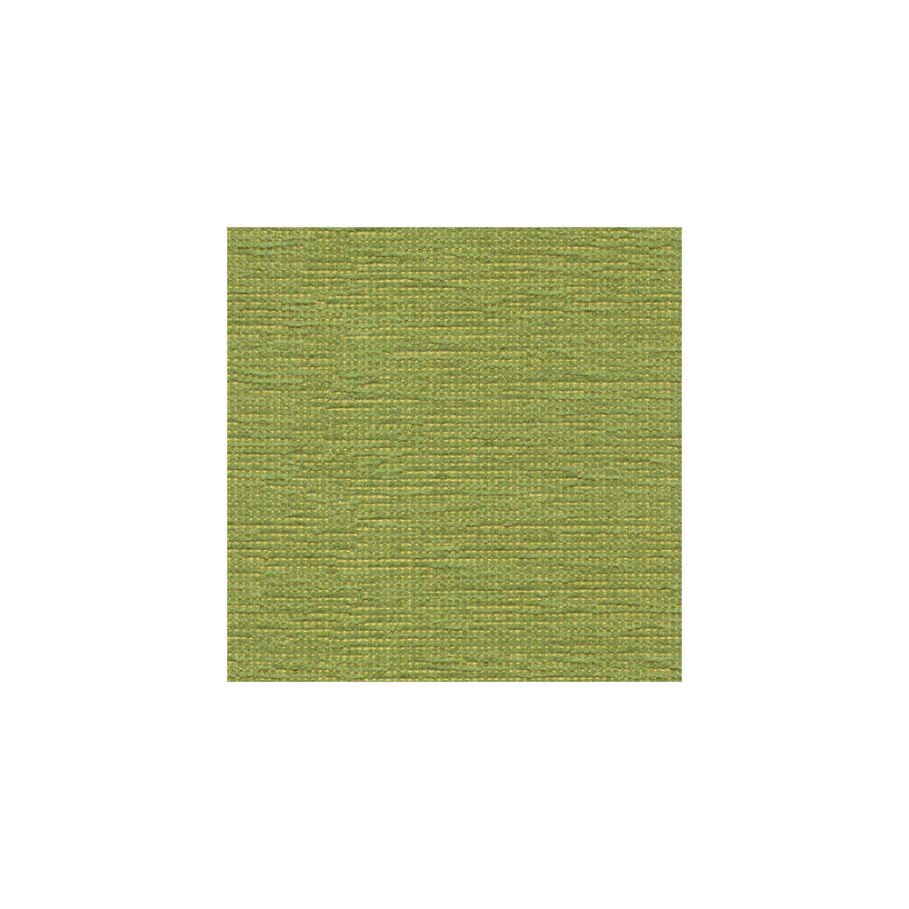 Cato Grass by Kravet Contract Fabric CONTRACT GIS COTTON - 52%;POLYESTER - 48% United States HEAVY Horizontal: and Vertical: 54 - Fabric Carolina -