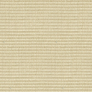 Kravet Smart 32946-111 by Kravet Smart Fabric