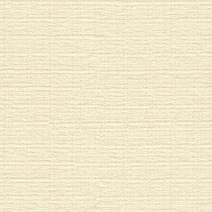 Kravet Smart 32960-1 by Kravet Smart Fabric
