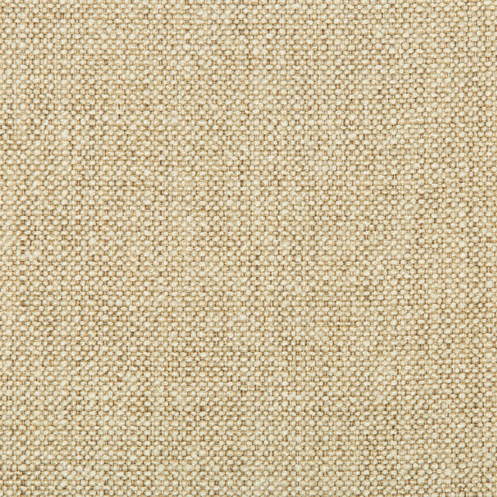 32964-16 by Kravet Smart Fabric RAYON - 61%;OLEFIN - 39% United States HEAVY Horizontal: and Vertical: 54 - Fabric Carolina -