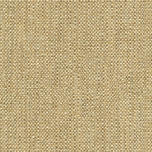 Kravet Smart 32964-16 by Kravet Smart Fabric