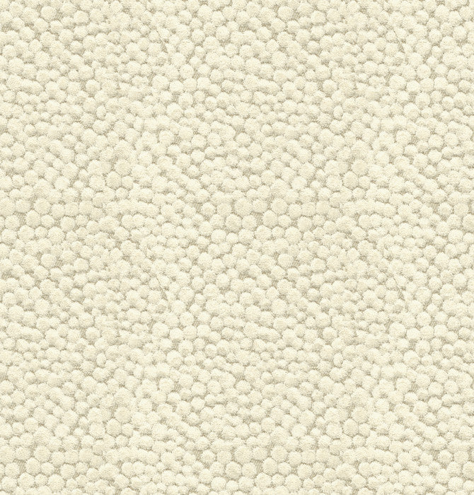 Polka Dot Plush Natural by Kravet Couture Fabric