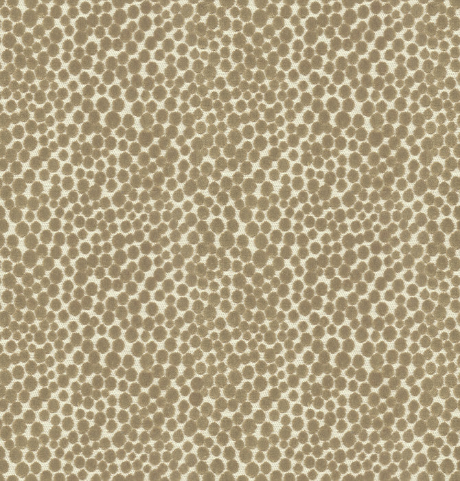 Polka Dot Plush Mushroom by Kravet Couture Fabric