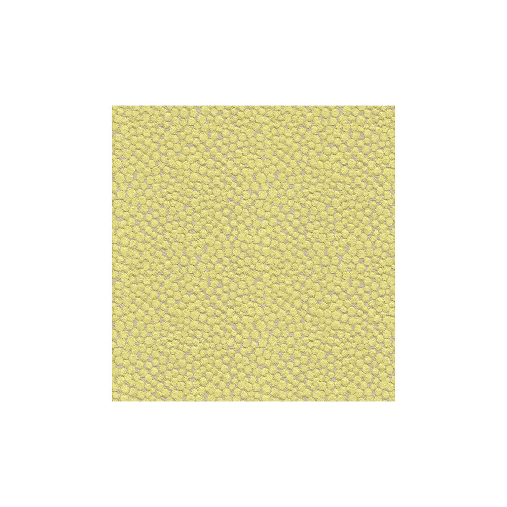 Polka Dot Plush Wasabi by Kravet Couture Fabric MODERN COLORS III VISCOSE - 55%;COTTON - 25%;POLYESTER - 20% Belgium HEAVY Horizontal: 7 and Vertical: 7 54 - Fabric Carolina -
