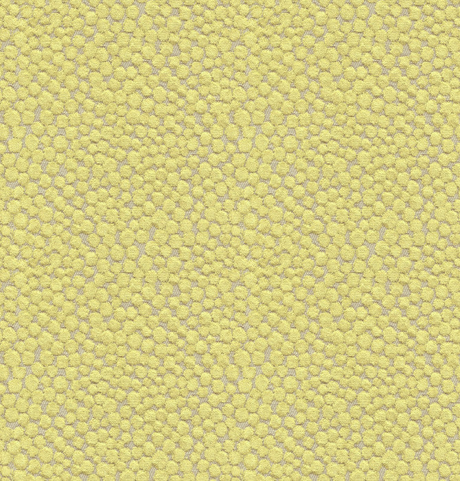 Polka Dot Plush Wasabi by Kravet Couture Fabric