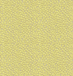 Polka Dot Plush Wasabi by Kravet Couture Fabric