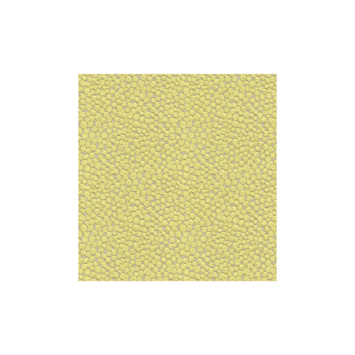 Polka Dot Plush Wasabi by Kravet Couture Fabric MODERN COLORS III VISCOSE - 55%;COTTON - 25%;POLYESTER - 20% Belgium HEAVY Horizontal: 7 and Vertical: 7 54 - Fabric Carolina -