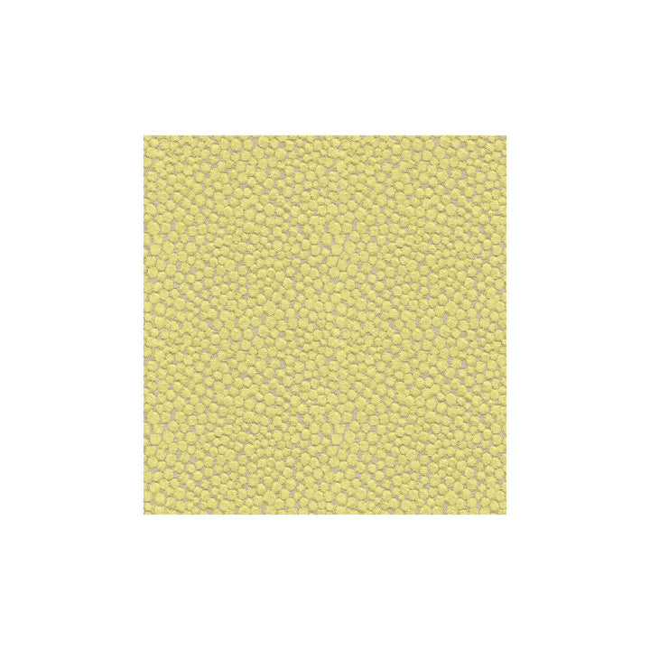 Polka Dot Plush Wasabi by Kravet Couture Fabric Kravet Couture Fabric Polka Dot Plush WasabiFabric MODERN COLORS III VISCOSE - 55%;COTTON - 25%;POLYESTER - 20% Belgium </p><p>Repeat: H: 7, V: 7 54 - Fabric Carolina -