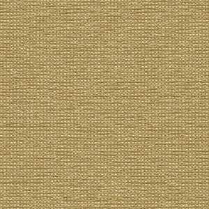 Kravet Smart 32980-16 by Kravet Smart Fabric