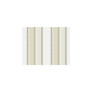 Scollard Champagne by Kravet Basics Fabric