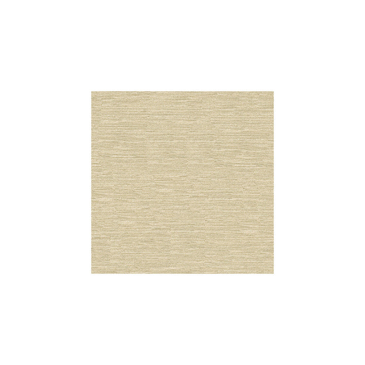33001-106 by Kravet Smart Fabric VISCOSE - 70%;POLYESTER - 30% Turkey HEAVY Horizontal: and Vertical: 55 - Fabric Carolina -