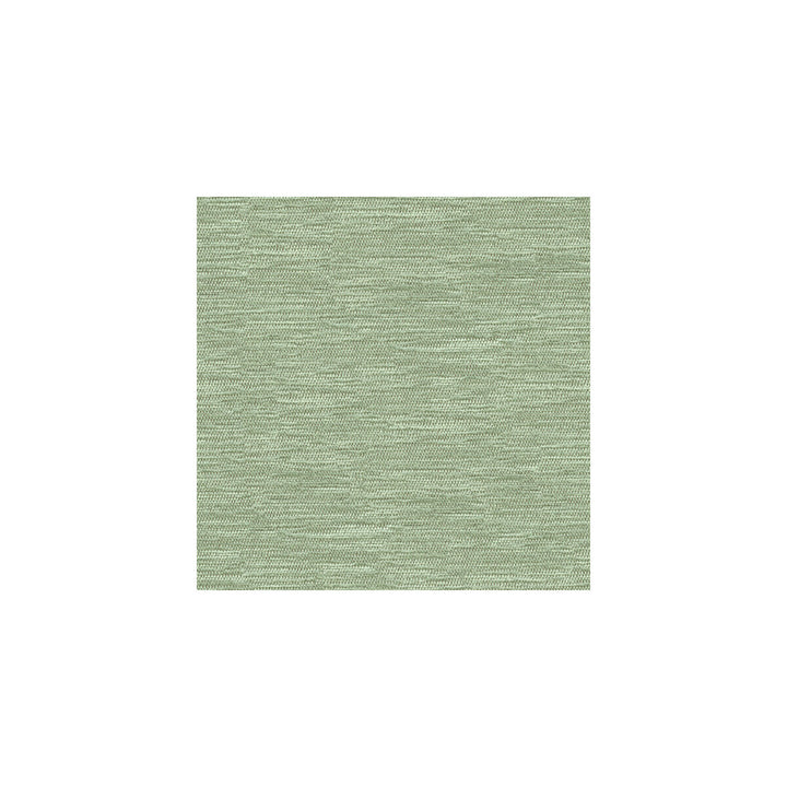 33001-113 by Kravet Smart Fabric VISCOSE - 70%;POLYESTER - 30% Turkey HEAVY Horizontal: and Vertical: 55 - Fabric Carolina -
