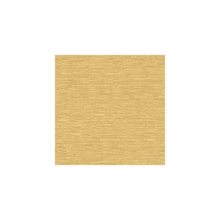 33001-116 by Kravet Smart Fabric - VISCOSE - 70%;POLYESTER - 30% Turkey HEAVY Horizontal: - and Vertical: - 55 - Fabric Carolina -