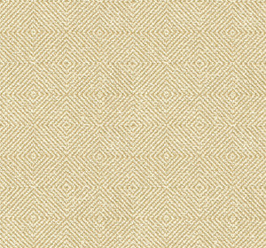 Kravet Smart 33002-416 by Kravet Smart Fabric