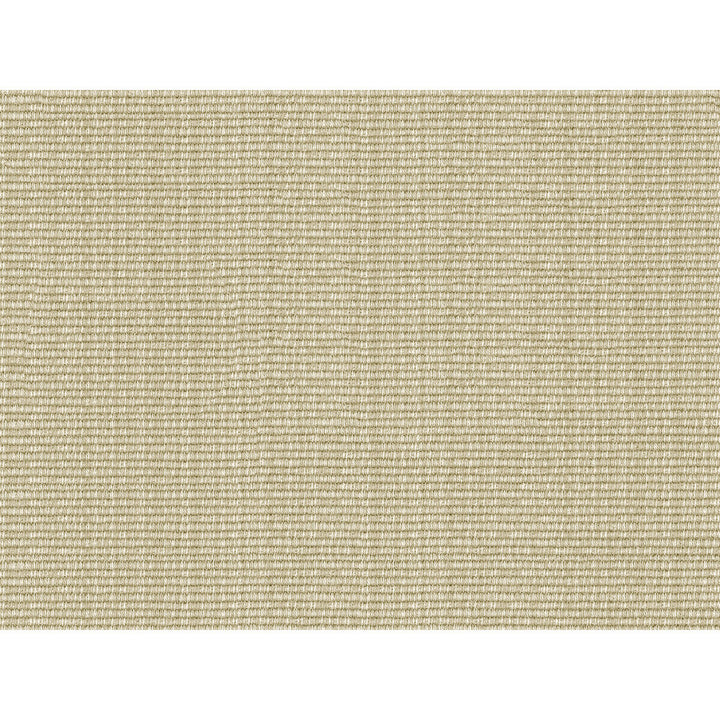 33021-1116 by Kravet Smart Fabric - COTTON - 58%;RAYON - 40%;POLYESTER - 2% United States HEAVY Horizontal: - and Vertical: - 60 - Fabric Carolina -