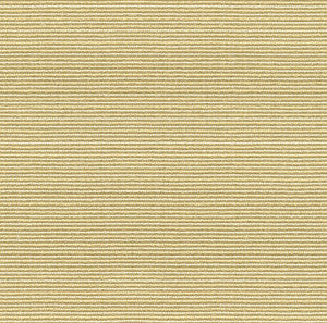 Kravet Smart 33021-116 by Kravet Smart Fabric