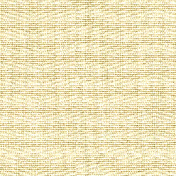 Kravet Smart 33021-1 by Kravet Smart Fabric