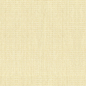 Kravet Smart 33021-1 by Kravet Smart Fabric