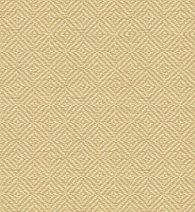 Kravet Smart 33023-116 by Kravet Smart Fabric