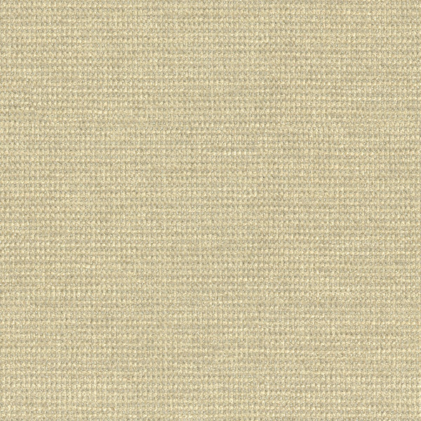 Kravet Smart 33027-116 by Kravet Smart Fabric