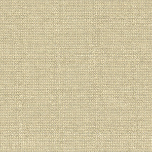 Kravet Smart 33027-116 by Kravet Smart Fabric